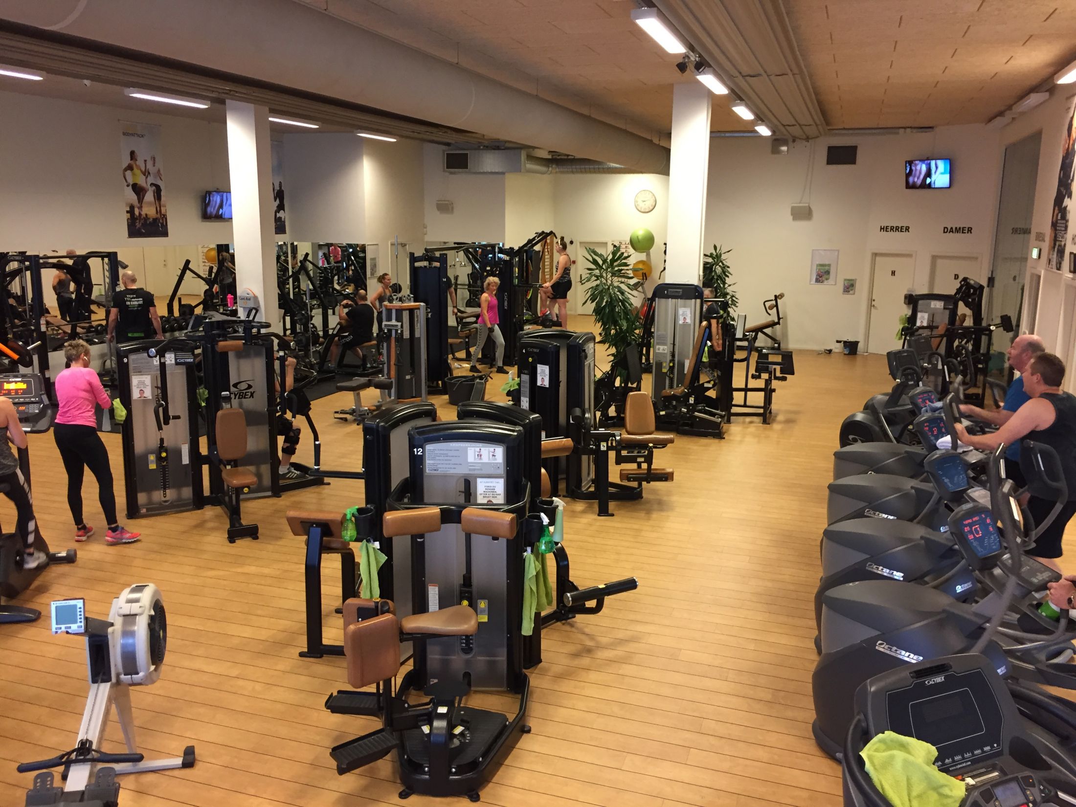 & Sund Haslev | Fitness og træningscenter | Bliv medlem dag