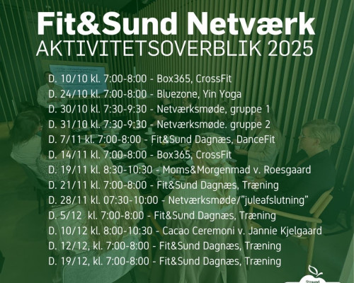 Aktivitetsoverblik 2025